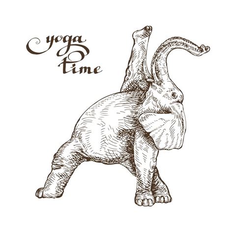 empfohlenes atbehance projekt elephant yoga httpswwwbehancenet