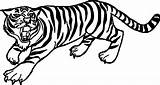 Tiger Coloring Pages Outline Easy Drawing Line Siberian Saber Tooth Printable Drawings Bengal Kids Face Print Animal Angry Tigers Color sketch template
