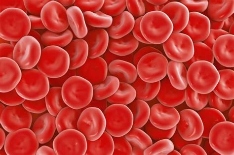 What Is A Healthy Hemoglobin Level Livestrong