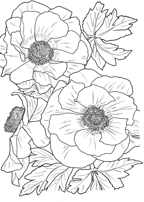 flower coloring page  print  svg images file