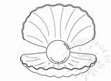 Pearl Shell Clipart Drawing Coloring Paintingvalley Kid sketch template