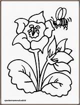 Mewarnai Bunga Lebah Kartun Mawar Madu Hitam Sketsa Buku Kecerdasan Clipartbest Lukisan Sari Usia Dini Menggambar Menghisap Kunjungi Paud Bagi sketch template