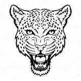 Leopard Cartoon Cheetah Drawing Tattoo Vector Clipart Head Illustration Stock Logo Gecko Getdrawings Depositphotos sketch template