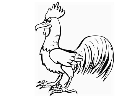coloring page rooster  printable coloring pages img