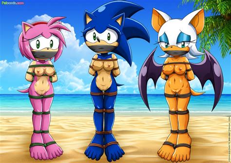 1346639 amy rose palcomix rouge the bat rule 63 sonic team sonic the