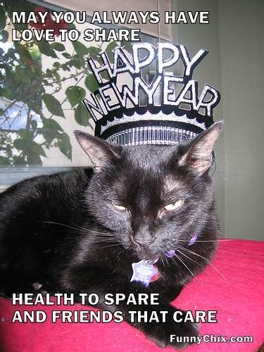 Funny Pictures Of Happy New Year With Cats Christmas