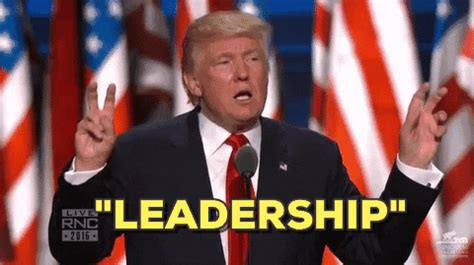 leadership gifs find share  giphy