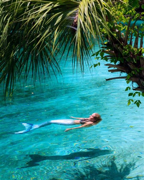 the 25 best real life mermaids ideas on pinterest real
