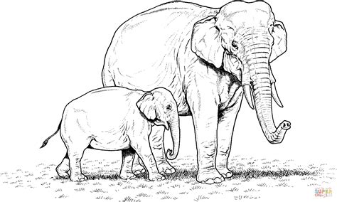 indian elephant baby  mother coloring page supercoloringcom super