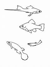Vissen Kleurplaat Kleurplaten Fisch Fish Poisson Coloriages Vis Pesci Malvorlagen Coloriage Mewarnai Ikan Dieren Pesce Animasi Stemmen Bewegende Bergerak Malvorlagen1001 sketch template