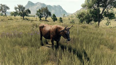 aurochs  wild official life  feudal wiki
