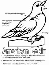State Robin Coloring Pages Michigan Bird American Birds Printables Symbols Printable Connecticut Kids Wisconsin Flag Kidzone Ws States Colouring Sheets sketch template