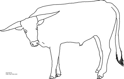 steer coloring pages coloring pages