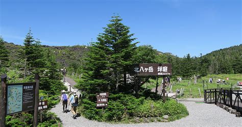 discover central japan 1 day hop on hop off bus pass tateshina