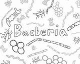 Coloring Bacteria Pages Sheets Microbes Color Viruses Tumblr Protists Zone Too Books Gif These Computer Print sketch template