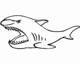Basking Shark Coloring Simple Drawing Color sketch template