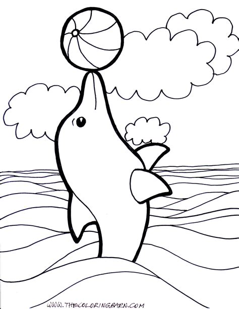 atlantic bottlenose realistic dolphin coloring pages