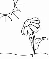 Sun Clipart Coloring Half Drawing Sunset Clip Pages Flower Preschoolers Moon Easy Sunlight Getdrawings Getcolorings Daisy Cliparts Cliparting Drawings Icons sketch template