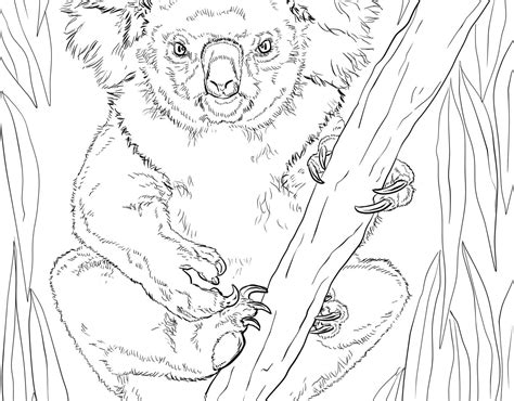 coloring pages realistic animals references