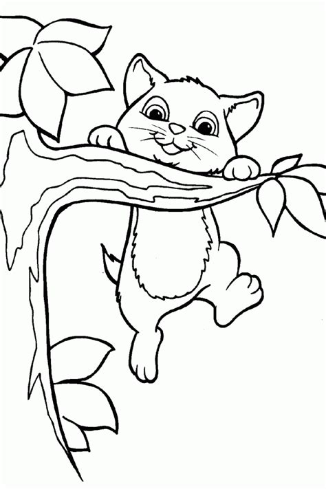 cute cat drawing easy  getdrawingscom   personal  cute