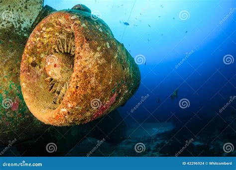 underwater plane wreck stock photo image  hollywood