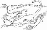 Coloring Elasmosaurus Tylosaurus Archelon Pages Ammonite Hesperornis Dinosaurs Color Plesiosaurus Supercoloring Printable Main Sheets Dinosaur Drawing Plesiosaur Colouring Super Ziyaret sketch template