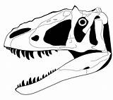 Yutyrannus Skeletal Fossils Stegosaurus Bones Dinosaurs Bday Hartman Agathaumas Huali Papan sketch template