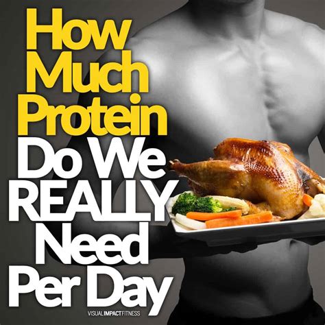 How Much Protein Do We Really Need Per Day