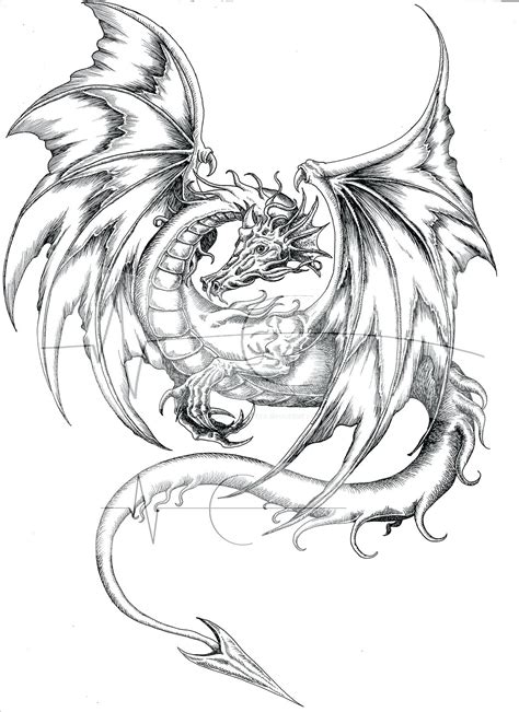 real dragon coloring pages  getdrawings