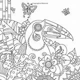 Coloring Pages Tropical Bird Toucan Colouring Adult Stress Mindful Printable Color Wildlife Line Detailed Anti Printables Advanced Coloriage Amazon Colour sketch template