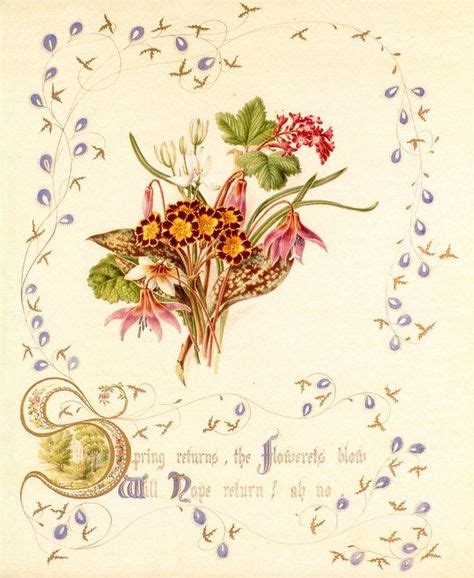 dacfabtjpg  botanical art illuminated manuscript