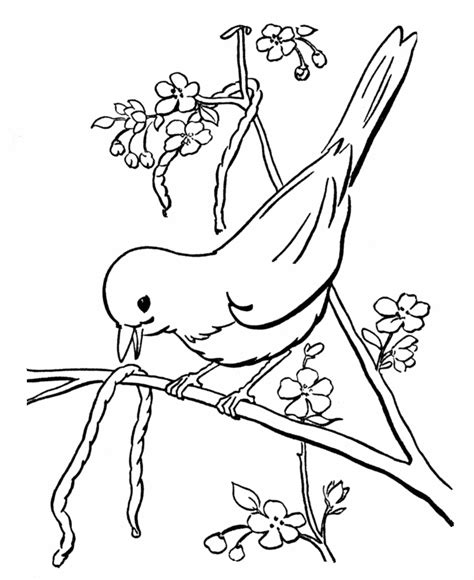 spring scenes coloring page  spring early bird coloring sheets