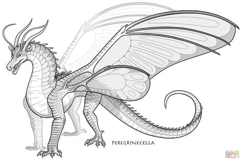 silkwing dragon coloring page  printable coloring pages