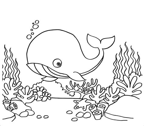 whale coloring pages coloringbay