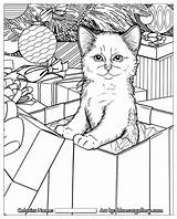 Coloring Pages Adult Cats Christmas Cat Adults Books Sheets Holiday Blank Book Printable Colouring Santa Kids Hamilton Color Print Jason sketch template