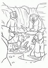 Brother Bear Coloring Pages sketch template