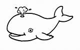 Whale Everfreecoloring sketch template