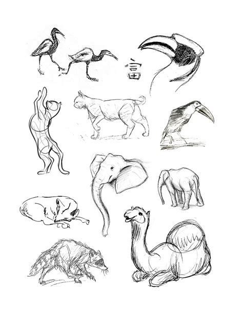 draw animalsjpg clip art library