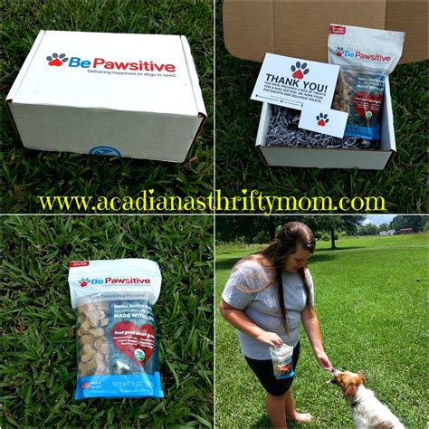 pawsitive monthly subscription box acadianas thrifty mom