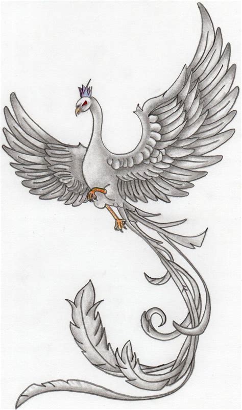 phoenix bird drawing logo logodix