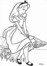 Coloring Alice Wonderland Pages Library Clipart sketch template