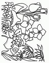 Kleurplaten Voorjaar Kiezen Coloringpagesabc Lente Bloem sketch template