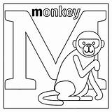 Coloring Monkey Vector Buchstabe sketch template