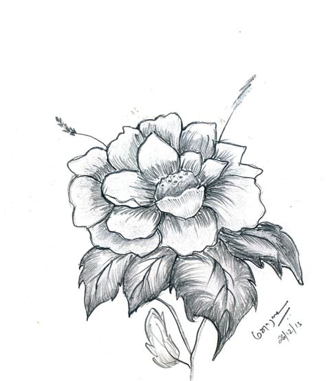 flower drawing pencil drawing pinterest flower drawings drawings