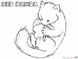 Panda Red Coloring Pages Happy Printable Adults Kids sketch template