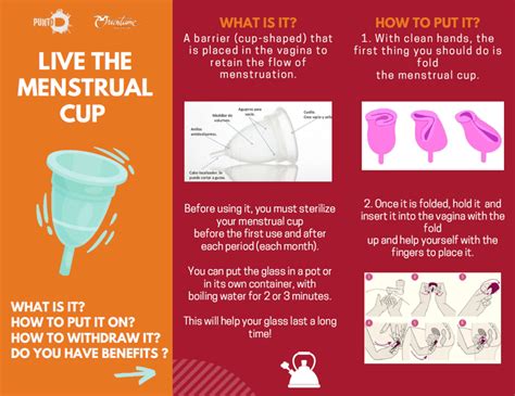 menstrual cup  toast  gender equity orientame