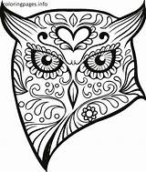 Skull Coloring Pages Animal Getcolorings Printable sketch template