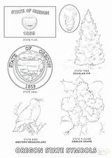 State Symbols Carolina North Coloring Pages Florida Flag Printable Getcolorings sketch template