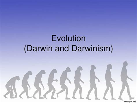 evolution darwin  darwinism powerpoint