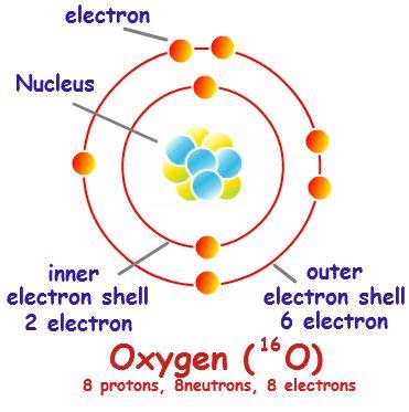 electron shell diagram general chemistry pinterest